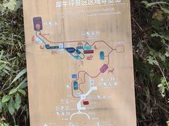 -普洱太阳河森林公园