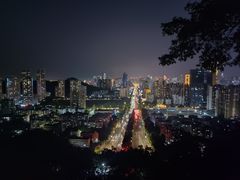 -板樟山森林公园