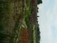 -北纬44度·金珠花海休闲农业旅游景区