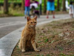 -苏州河梦清园环保主题公园