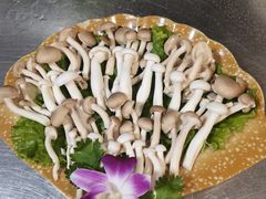 -蜀道火锅(西宁路店)