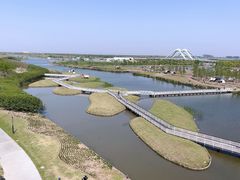 -春花秋色城市公园