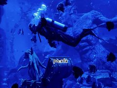 -波塞冬旅游度假区