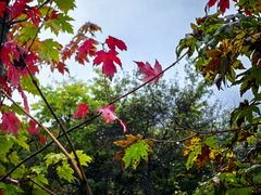 -丹东天桥沟景区