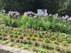 -星巴克(大濠公园店)