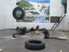 -西安秦岭野生动物园