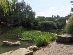 -习家池