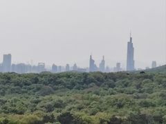 -灵谷景区