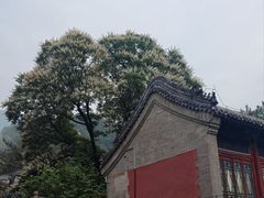 -潭柘寺景区
