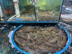 -王四营海鲜市场