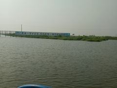 -洪湖生态旅游区