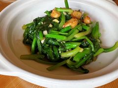 -朝郡酒家·粤菜(燕大星苑店)