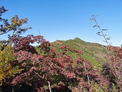 -龙道沟景区