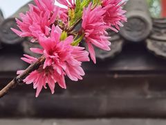 -颐和园