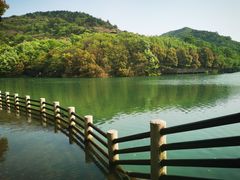 -白马涧龙池景区