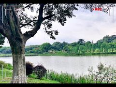 -东莞植物园