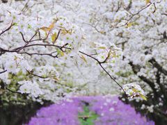 -江苏三台山国家森林公园