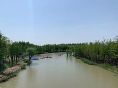 -上海长兴岛郊野公园