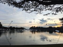 -东海岸人工湖美食村