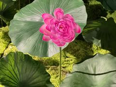 -福田美术馆——新童话主义－周艺文艺术季