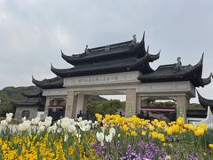 -苏州上方山国家森林公园