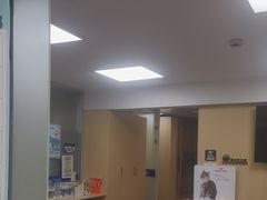 -申普宠物医院·心脏介入·心血管微创(总院)