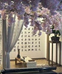 -雅极坞国潮SPA轻养馆