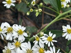 -宁波五龙潭景区