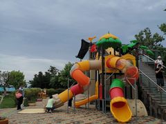 -西霞口神雕山野生动物世界