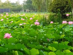 -常州奔牛国际机场