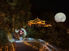 -巴倒烫陆派火锅山庄(南山总店)