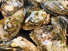 原汁蒸海岛生蚝-邹记·美食(斗门店)