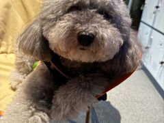 -E+有冰工厂·昆仑寒宫2(五角场店)