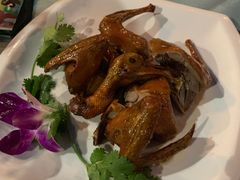 -沙龙酒家
