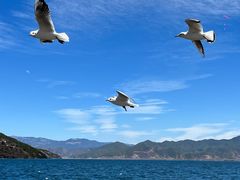 -丽江泸沽湖景区