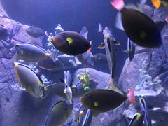 -成都浩海立方海洋公园