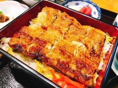 -森味薪火烧•烧鸟居酒屋•日本料理(望京店)