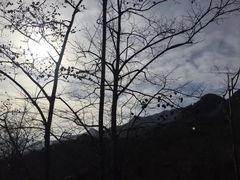 -北京凤凰岭