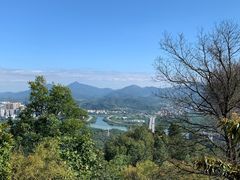 -风云岭森林公园