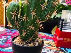 -Famous肥猫墨西哥音乐餐吧(五棵松华熙LIVE店)