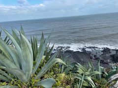 -漳州滨海火山岛自然生态风景区