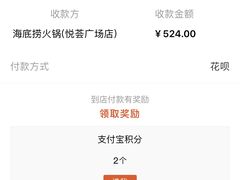 -海底捞大排档火锅(悦荟广场店)