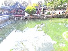 -上海醉白池公园
