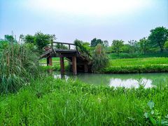 -西溪国家湿地公园