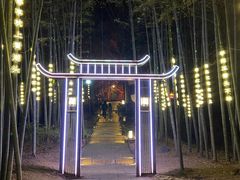 -杭州黄龙洞