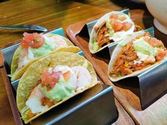 -Famous肥猫墨西哥音乐餐吧(五棵松华熙LIVE店)