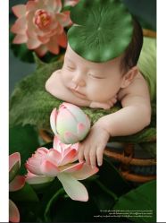 -诺米宝贝摄影工作室(铁机路店)