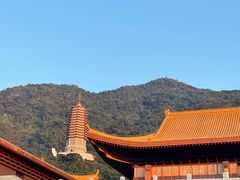 -深圳仙湖植物园