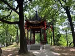 -武侯墓风景区