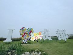 -空港花田景区